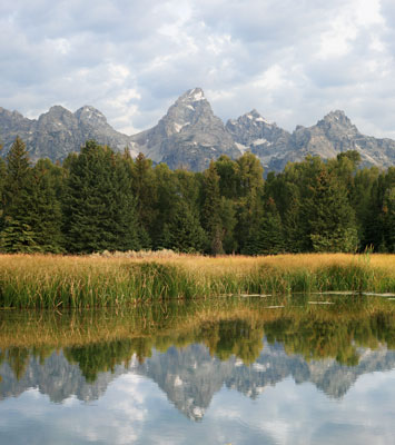 picture of the Grand Teton