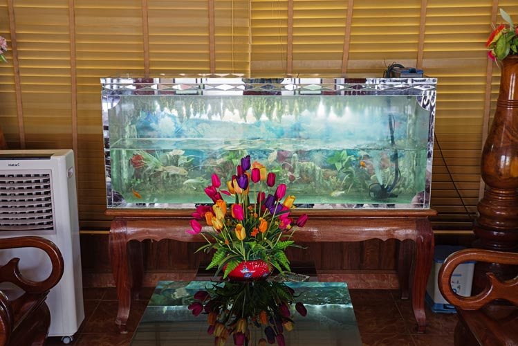 picture of Laos