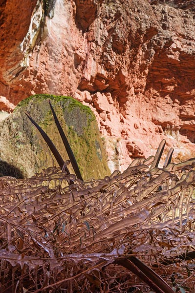 picture of grand canyon