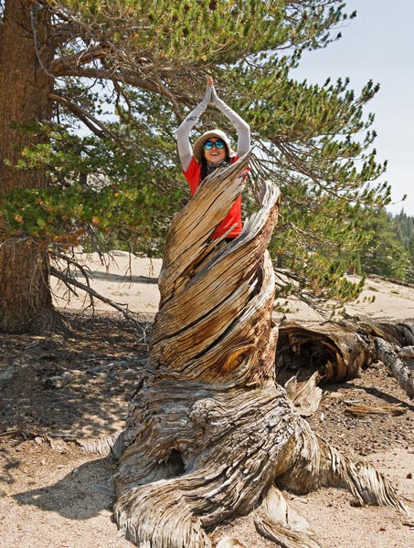 picture of Sierra