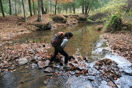 picture of rrg