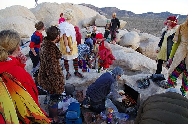 picture of Joshua Tree