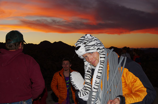 picture of Joshua Tree