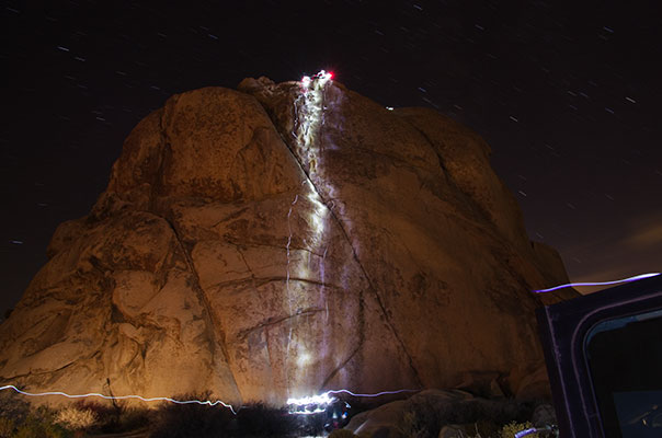 picture of Joshua Tree