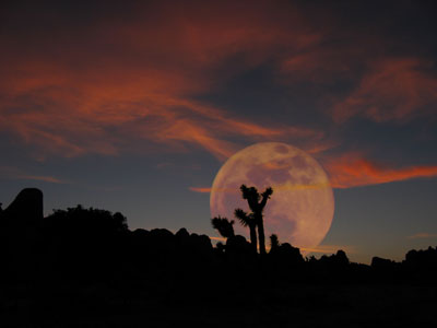 picture of moon