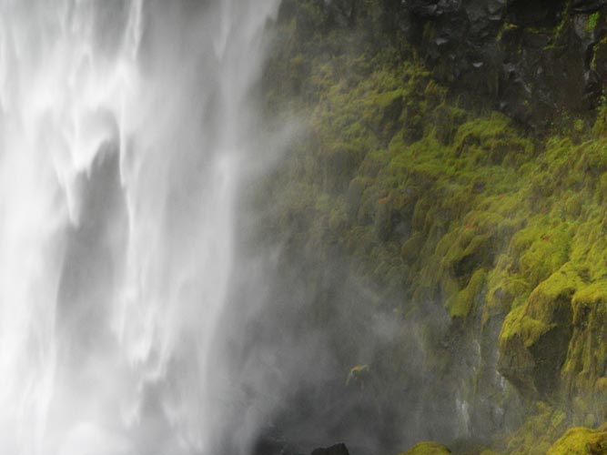 picture of Expedition Oregon 2022