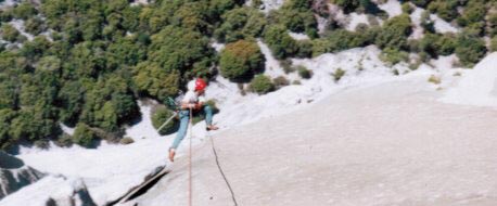 picture of the king swing 