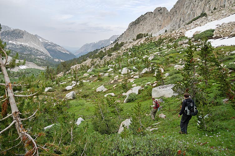 picture of Sierra