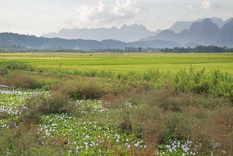picture of Laos