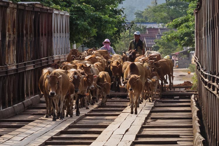 picture of Laos