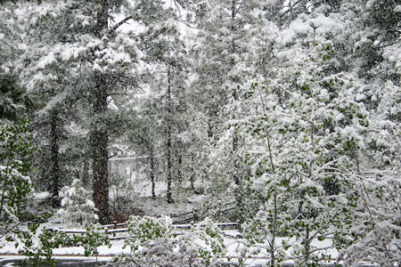 picture of snow in Flag