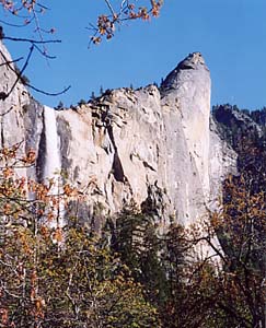 picture of  leaning tower