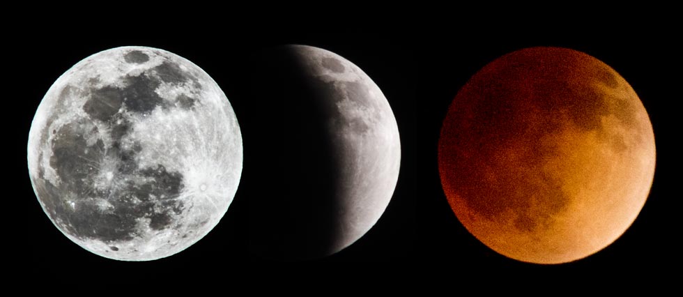 picture of Moon