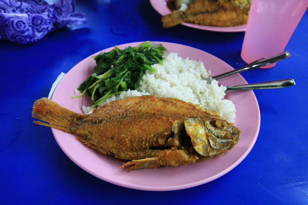 picture of fish