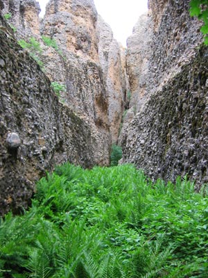 pic of maple canyon