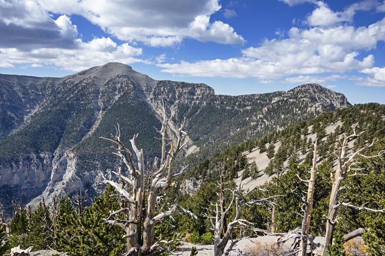 picture of mountain