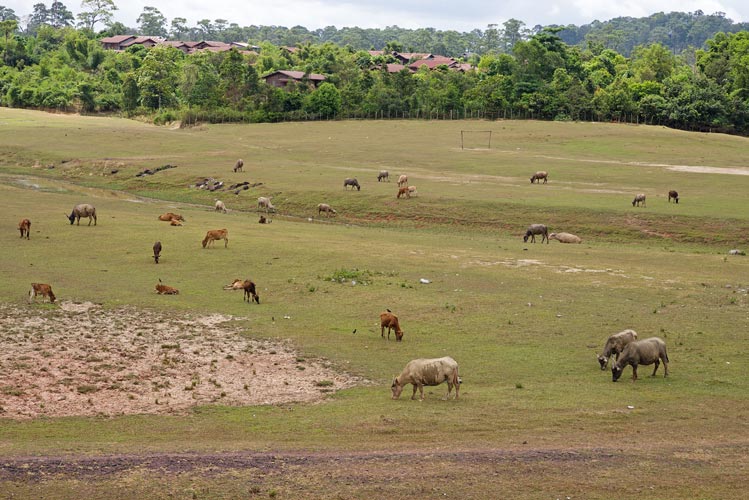 picture of Laos