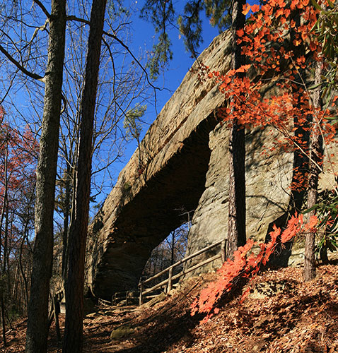 picture of rock arch