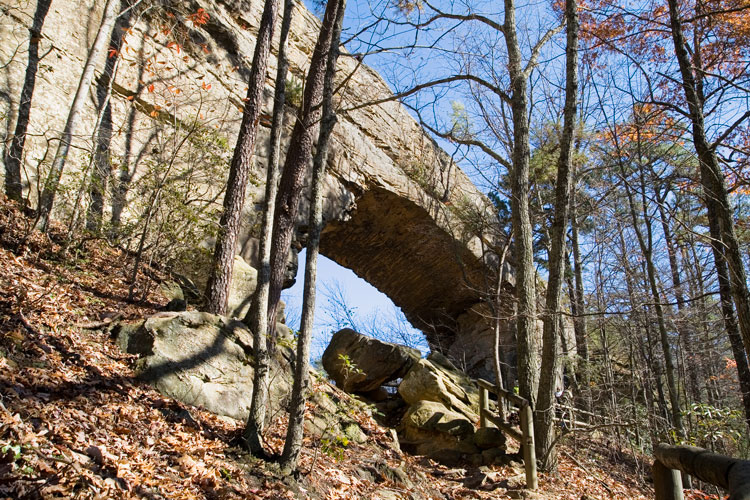 picture of the Red River Gorge