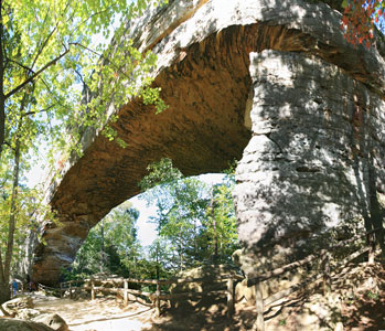 picture of rrg