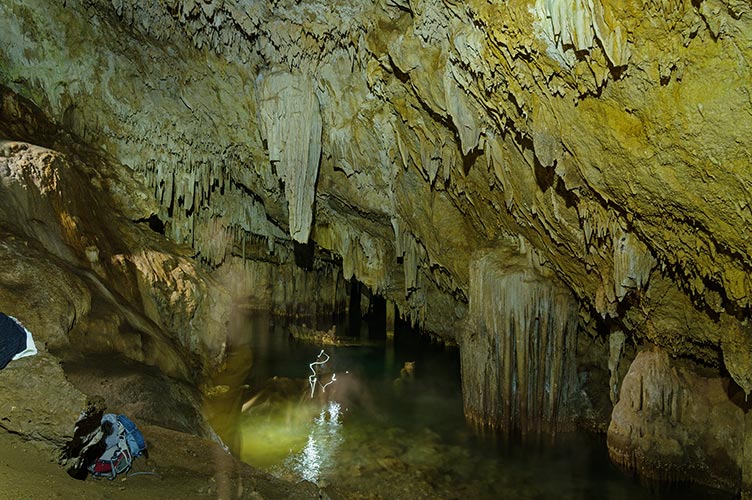 picture of Nalumon