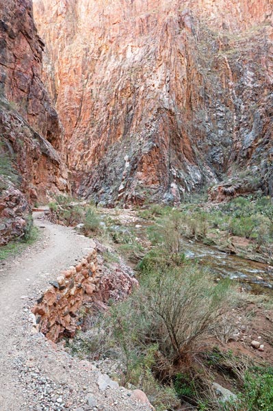 picture of grand canyon