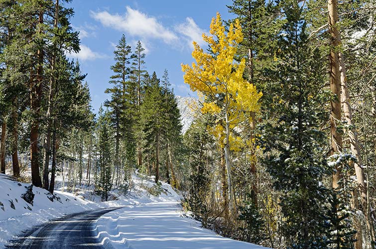 picture of road