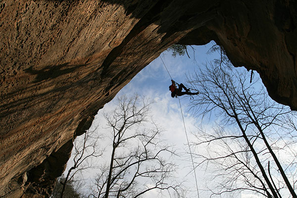 picture of RRG