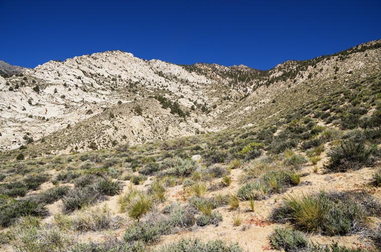 picture of peak 9202