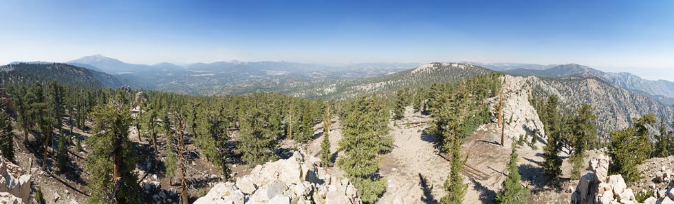 picture of sierra