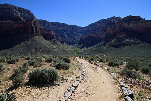 picture of the Grand Canyon