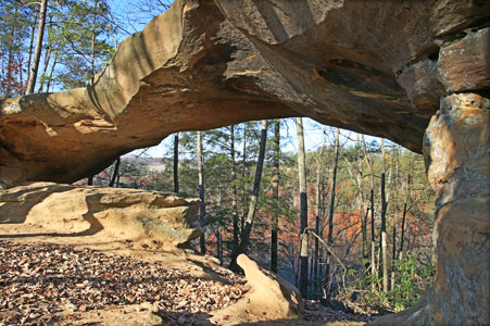 picture of rrg