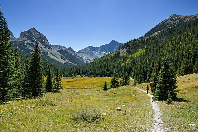 picture of 14er