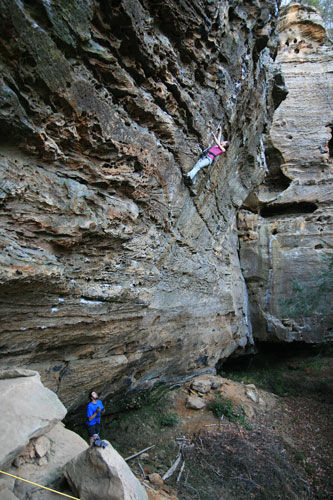 picture of rrg