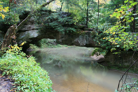 picture of rrg