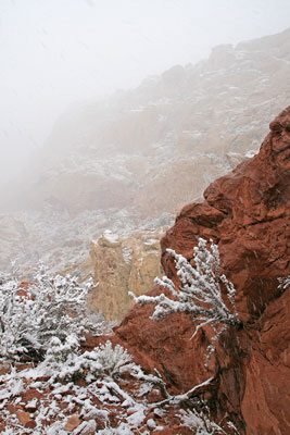 picture of snow