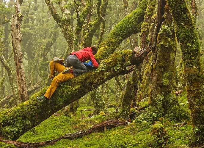 picture of New Zealand
