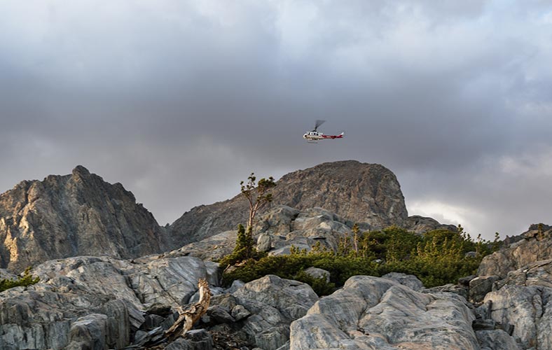 picture of helicopter