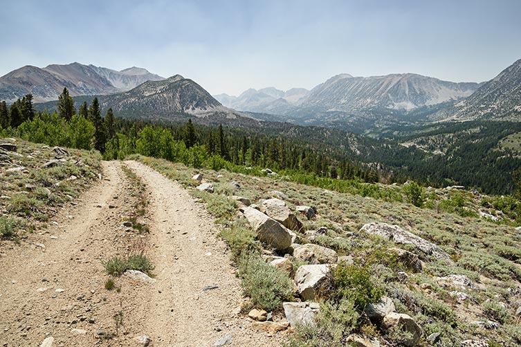 picture of Sierra