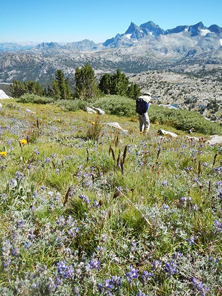 picture of sierra challenge