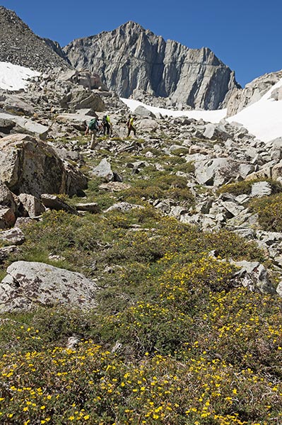 picture of Sierra