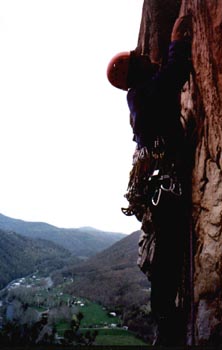 picture of Seneca