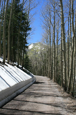 picture of road