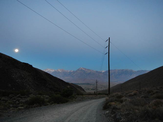 picture of silver cyn