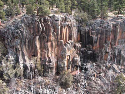 picture of The paradise forks