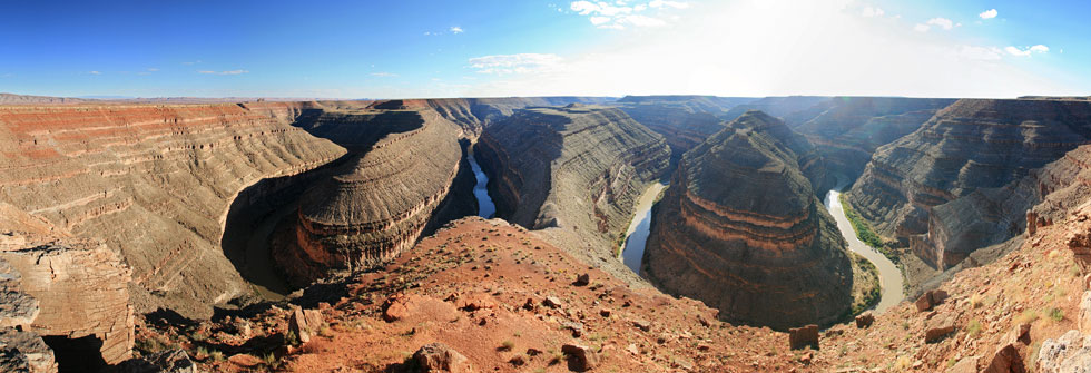 picture of Goosenecks