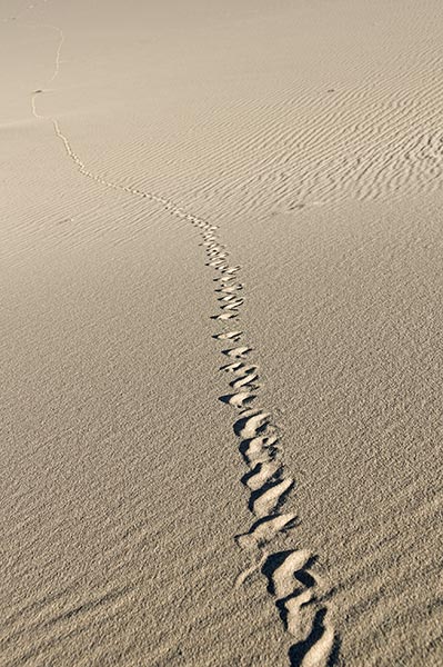 picture of Death Valley