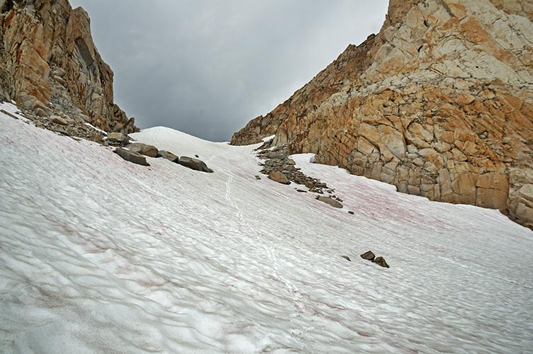 picture of Sierra