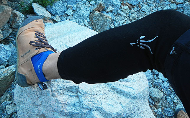 picture of leg