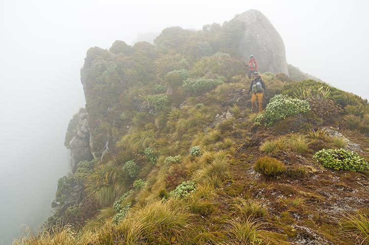 picture of New Zealand